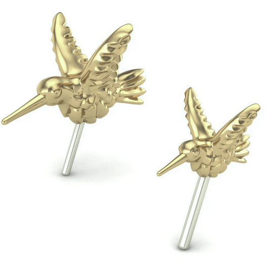 3D Hummingbird From Mushroom