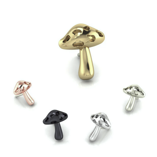 Amanita Mushroom from Mushroom