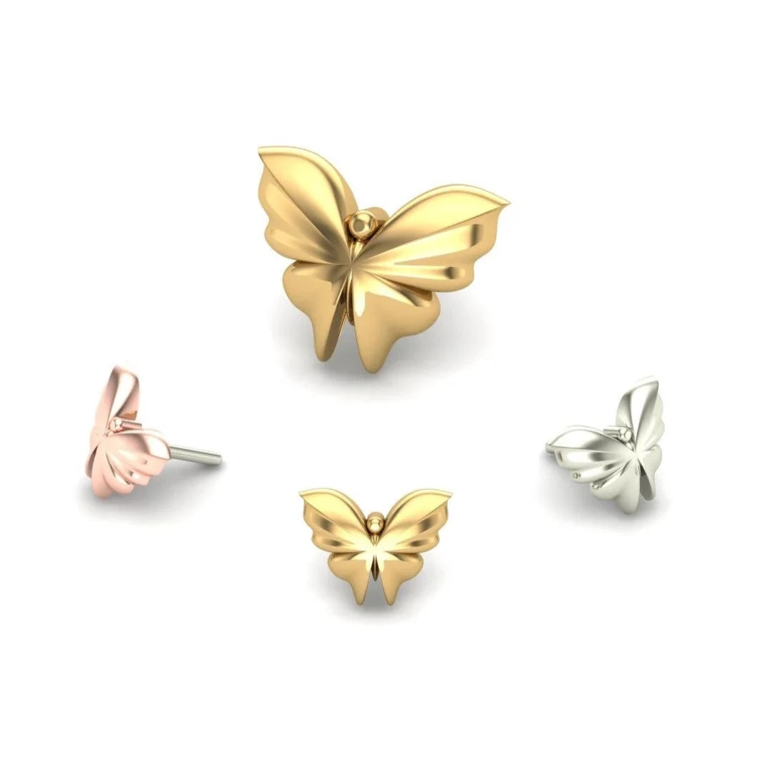 Butterfly from Mushroom