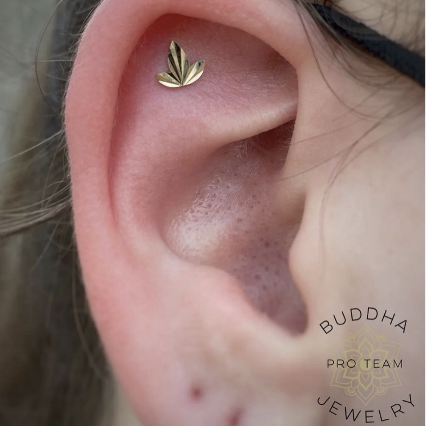 Goldleaf From Buddha