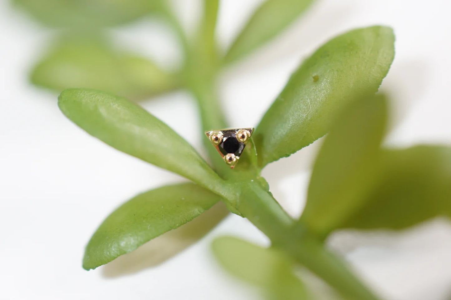 Illuminati - Diamond from Modern Mood