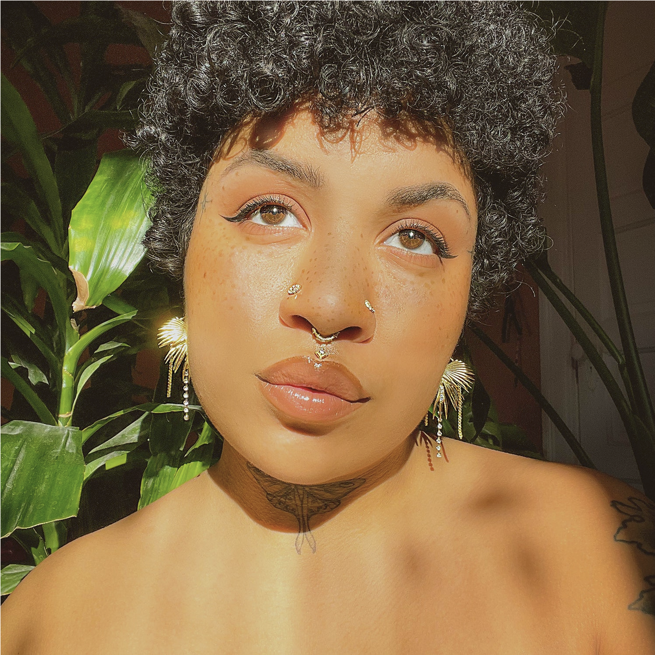 Lucidity from Maya