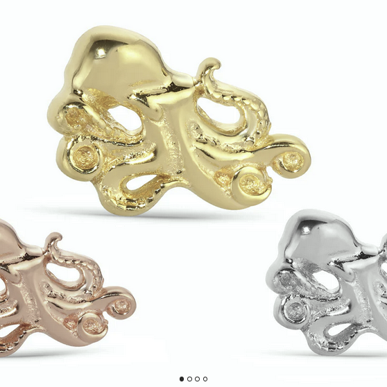 Octopus From Mushroom