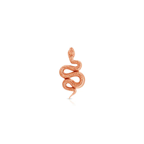 Rattlesnake from Norvoch