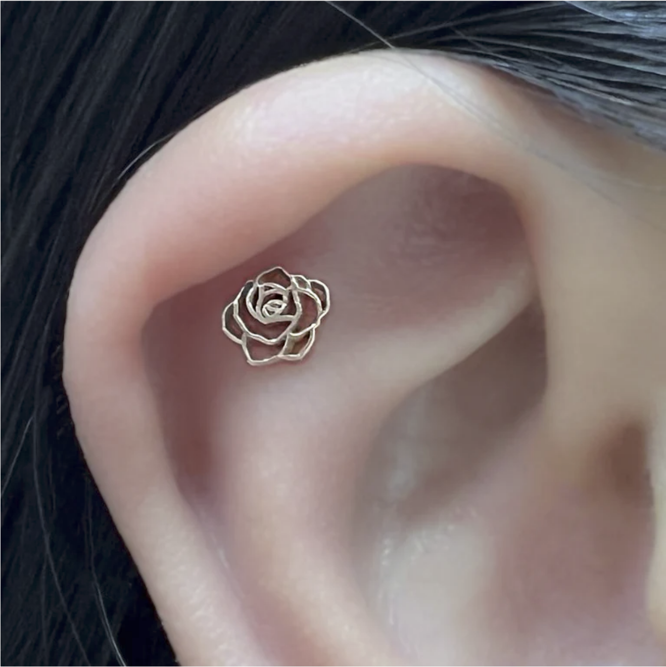 Rosette from Maya