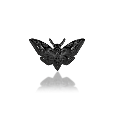 Scene Deaths-Head Moth from Junipurr