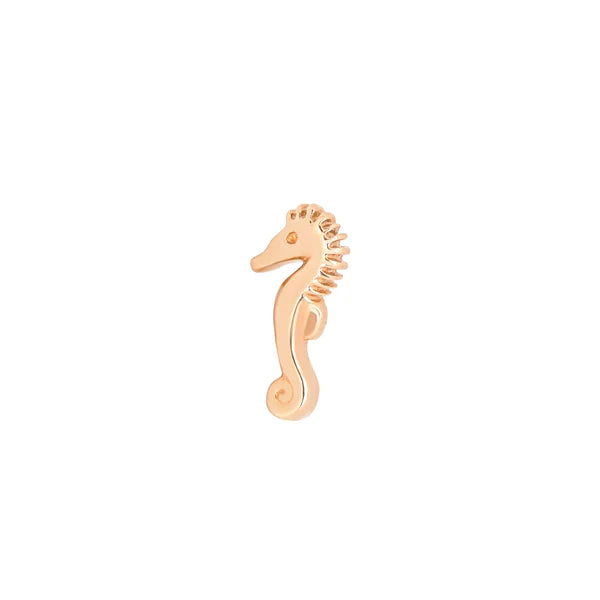 Seahorse From Mushroom
