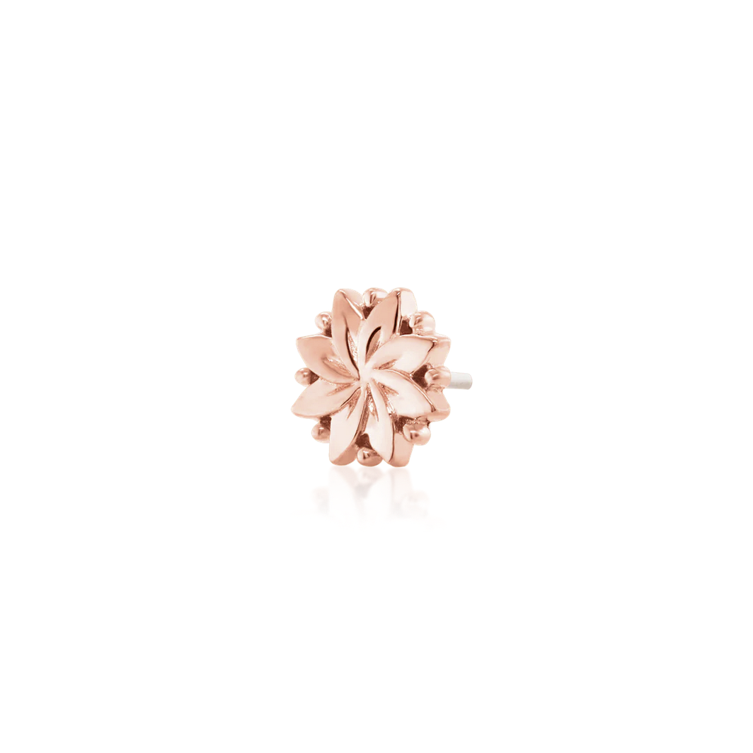 Southern Belle from Junipurr Rose Gold (Vault)