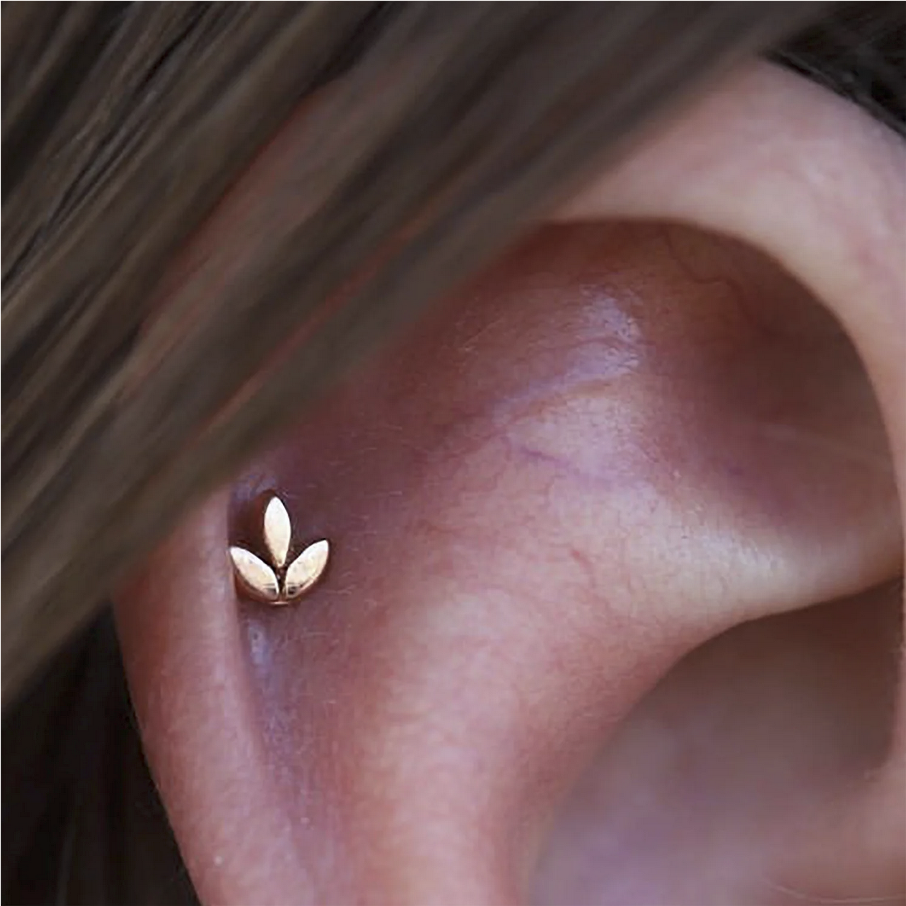 Sprout from Maya