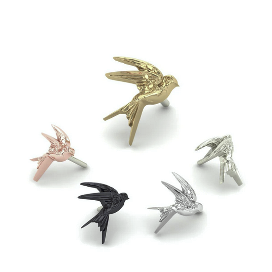 Swallow from Mushroom