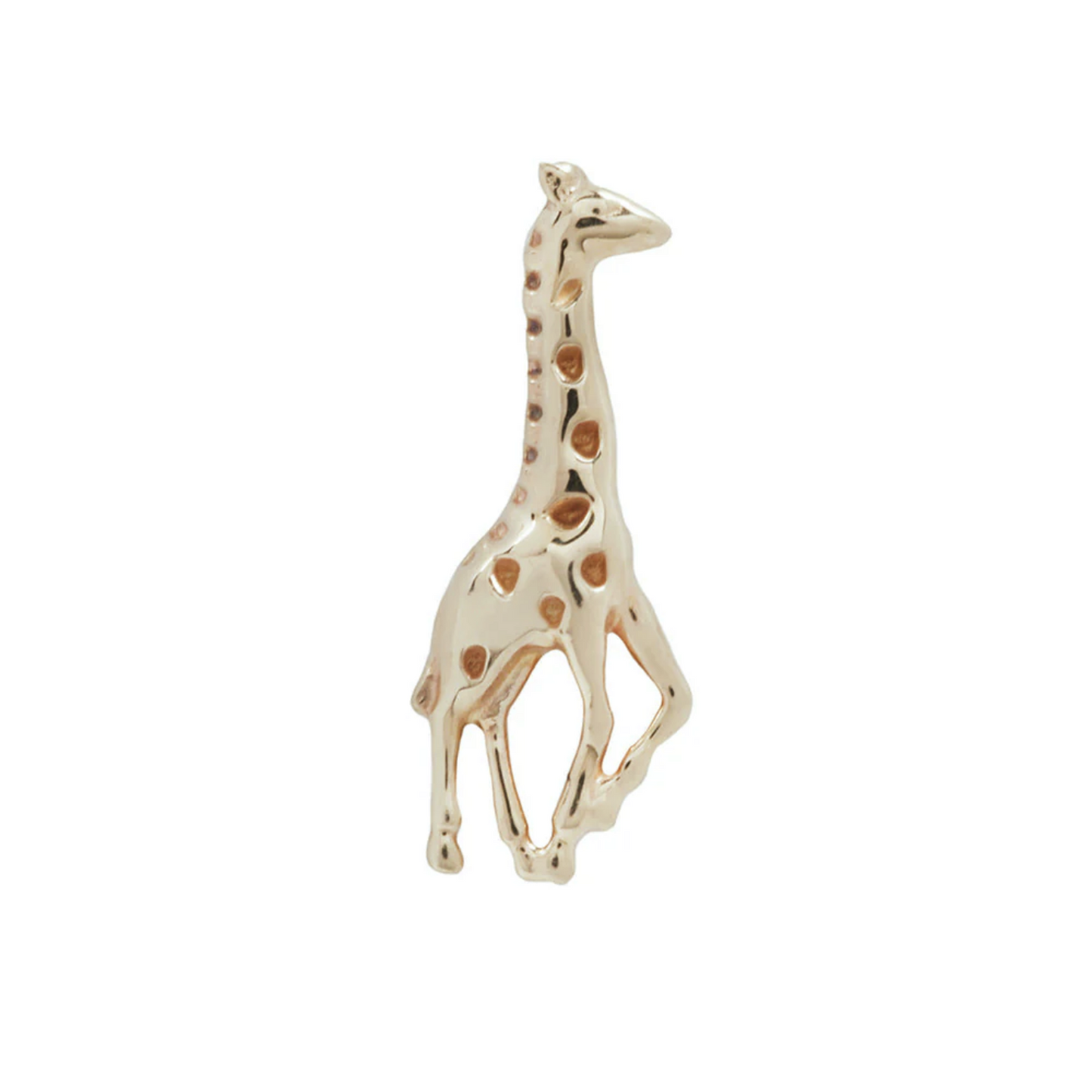 Tall Boy From Buddha