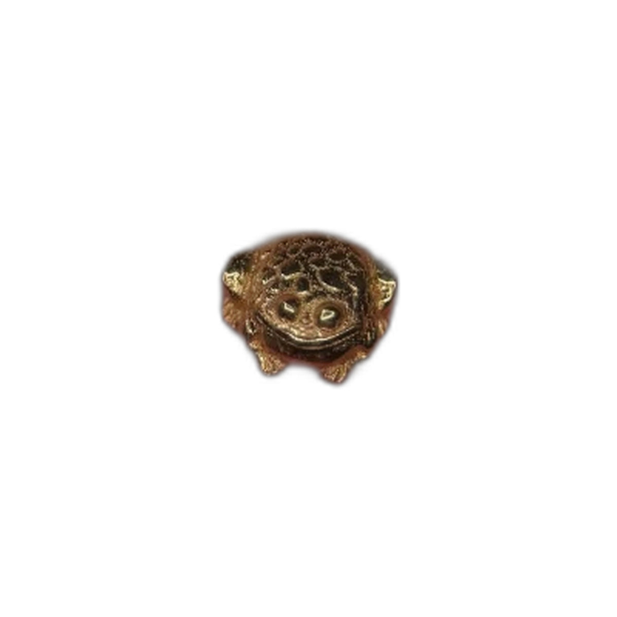 Toad by M.US.HROOM — alternate view 2