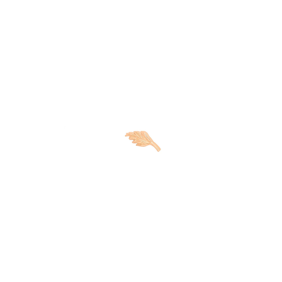 Elm Leaf by M.US.HROOM — alternate view 3