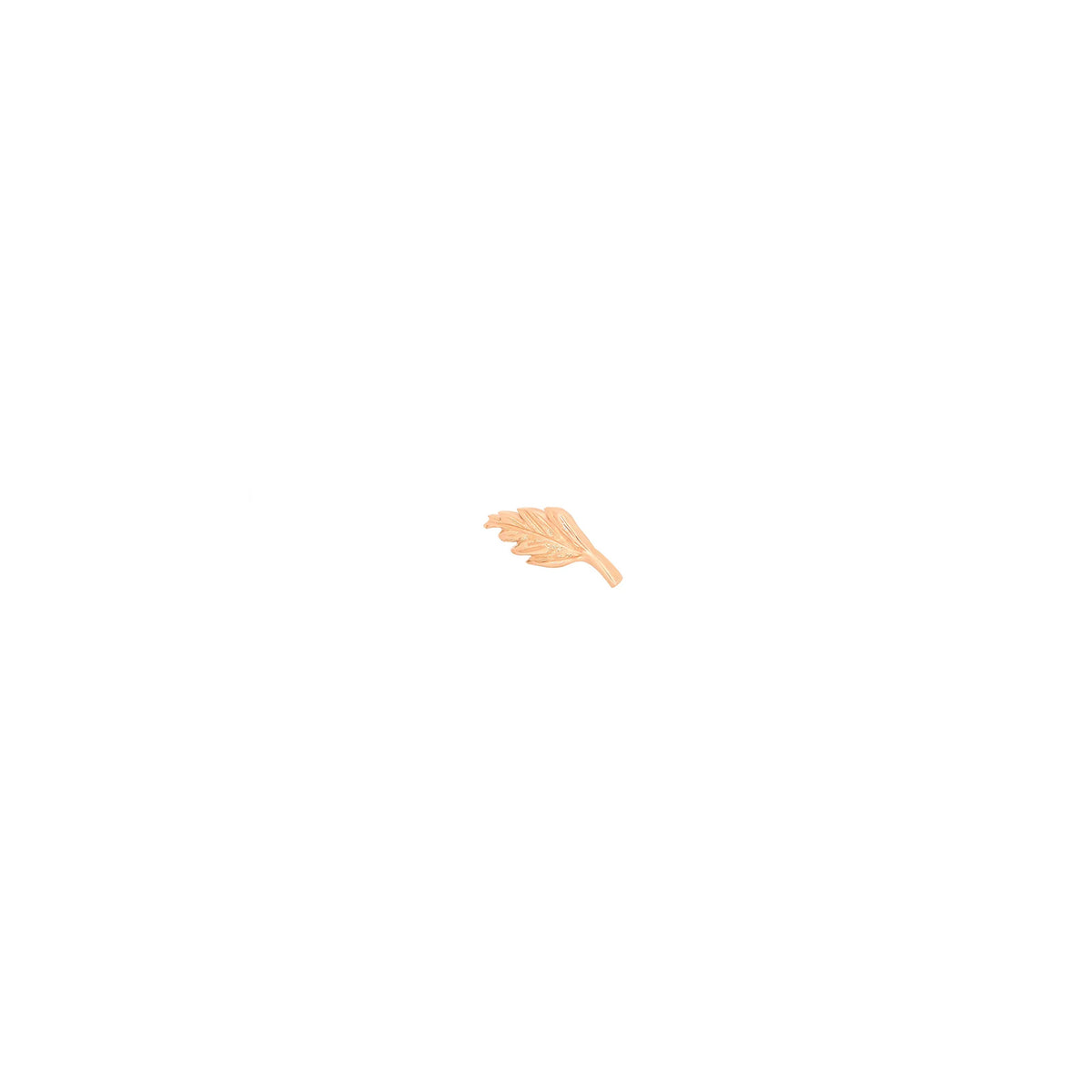 Elm Leaf by M.US.HROOM — alternate view 3