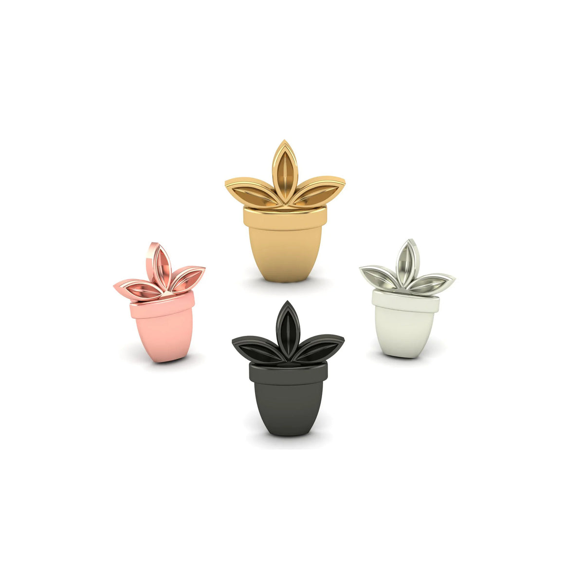 Lotus Cactus by M.US.HROOM