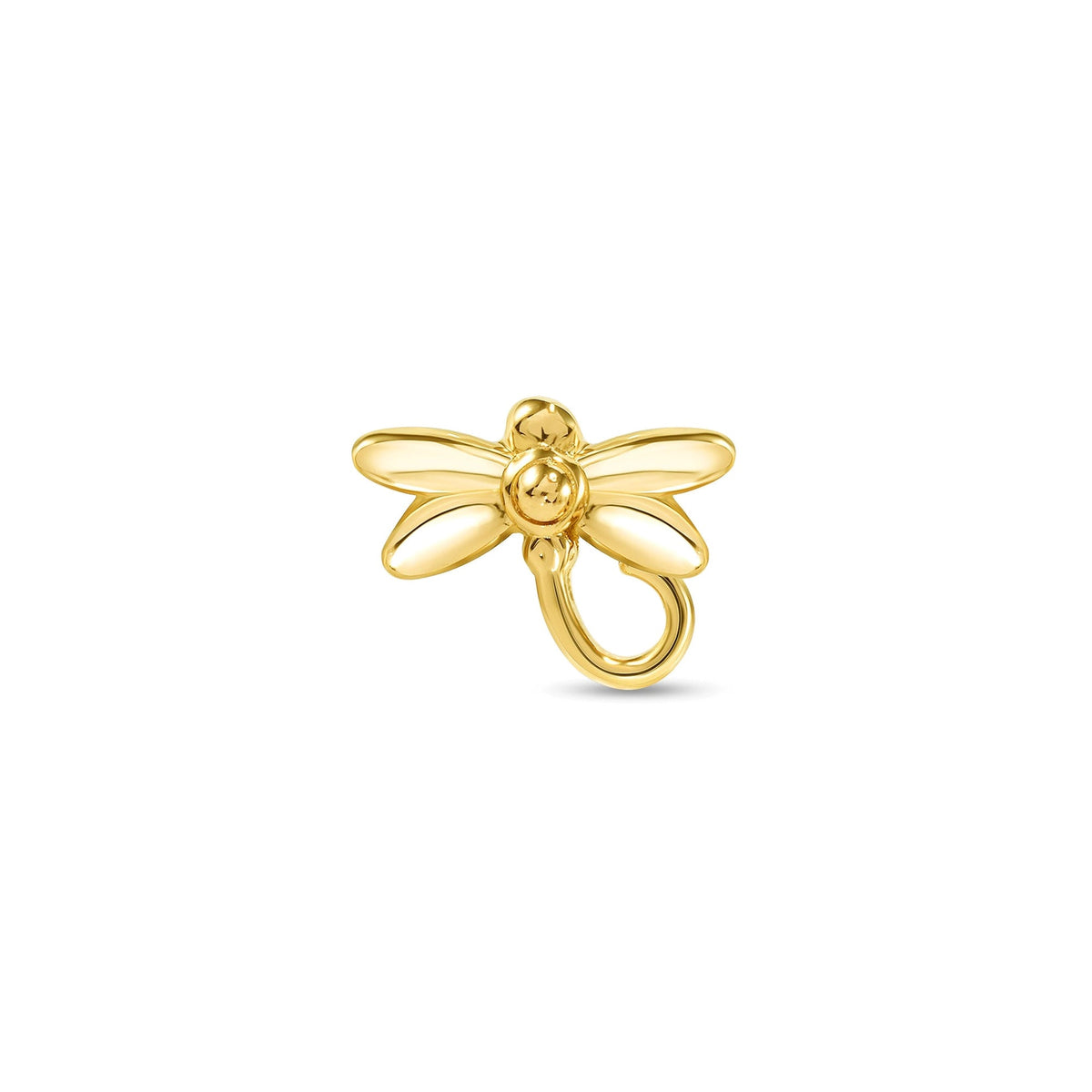 Dragonfly — NorVoch
