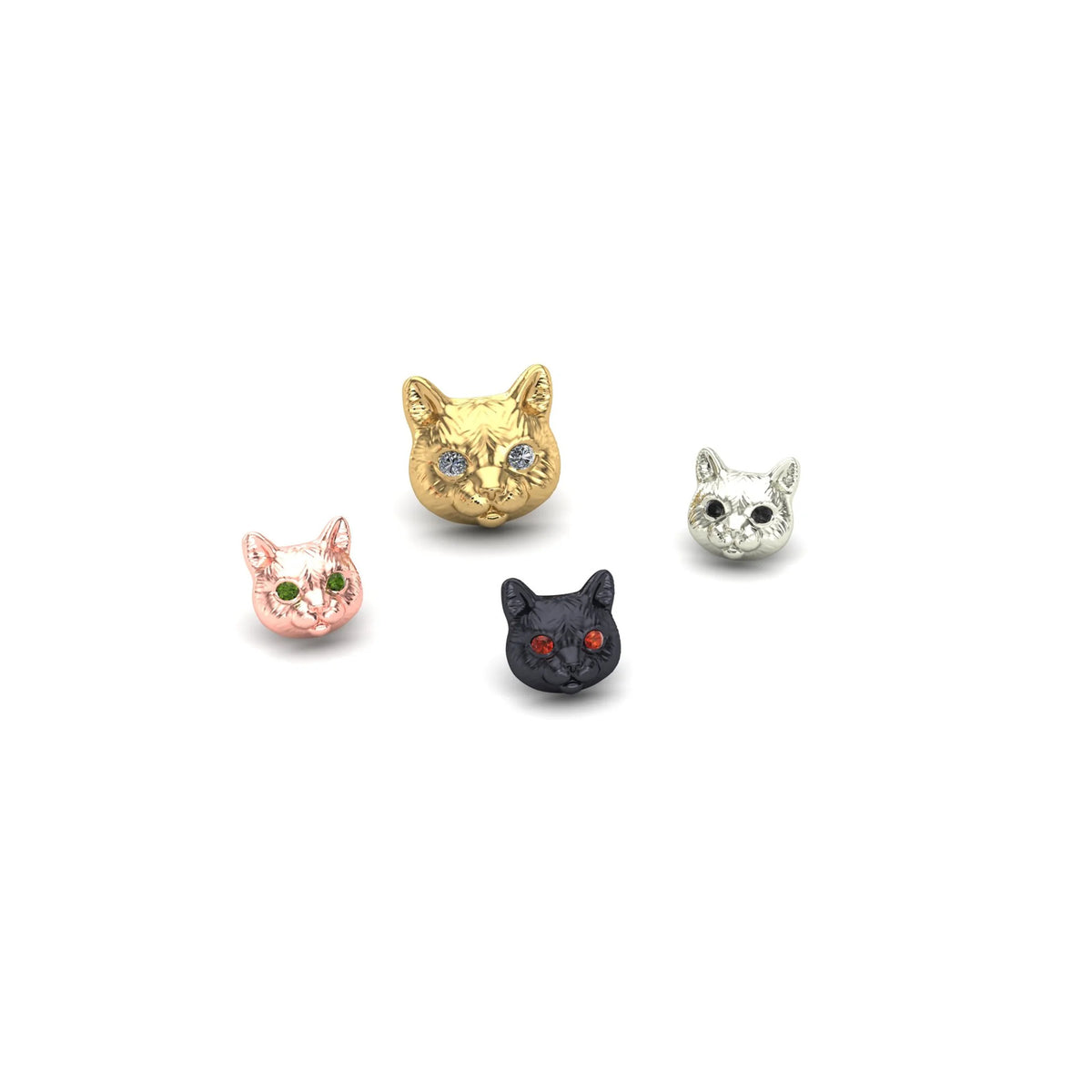 Cat by M.US.HROOM