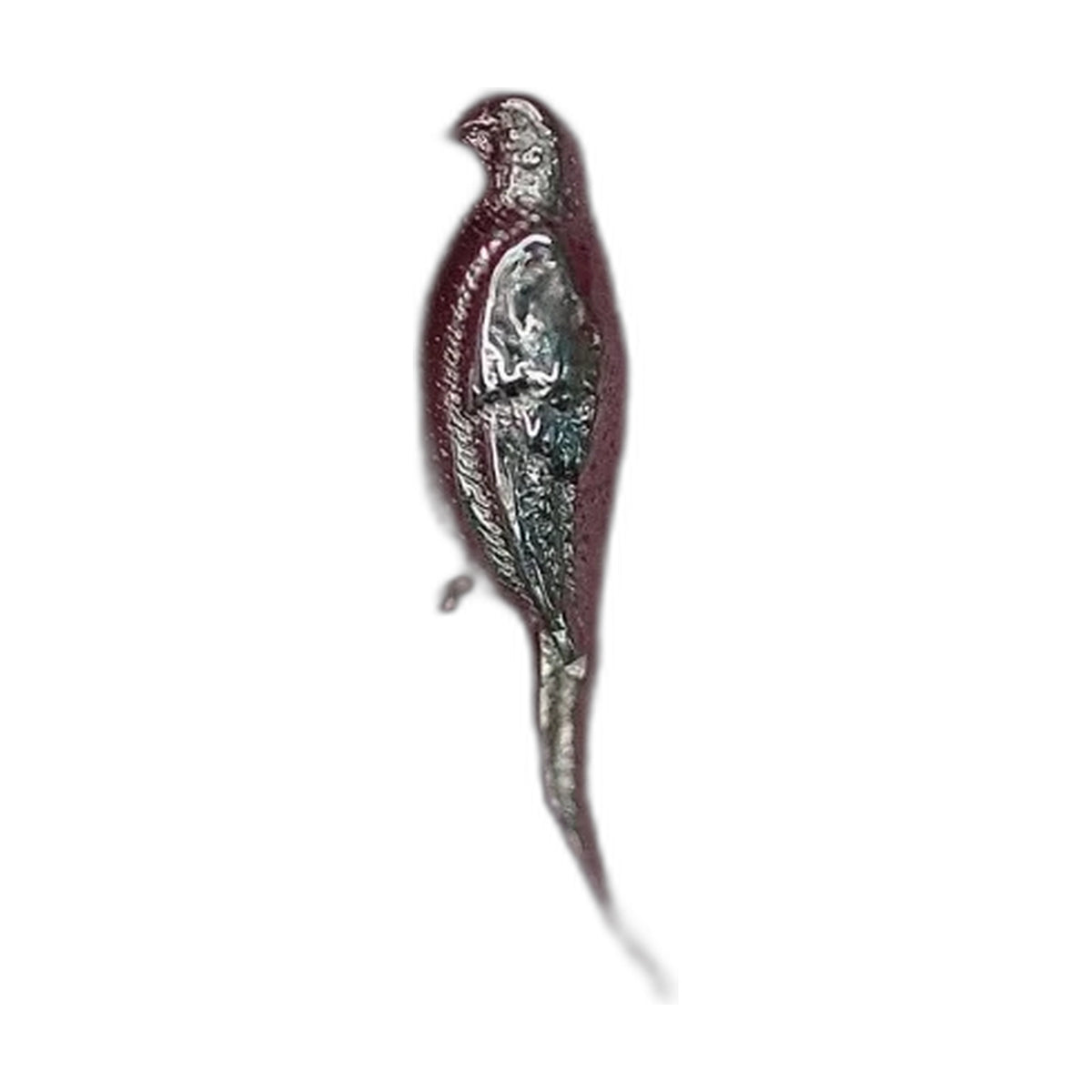 Parrot by M.US.HROOM — alternate view 2