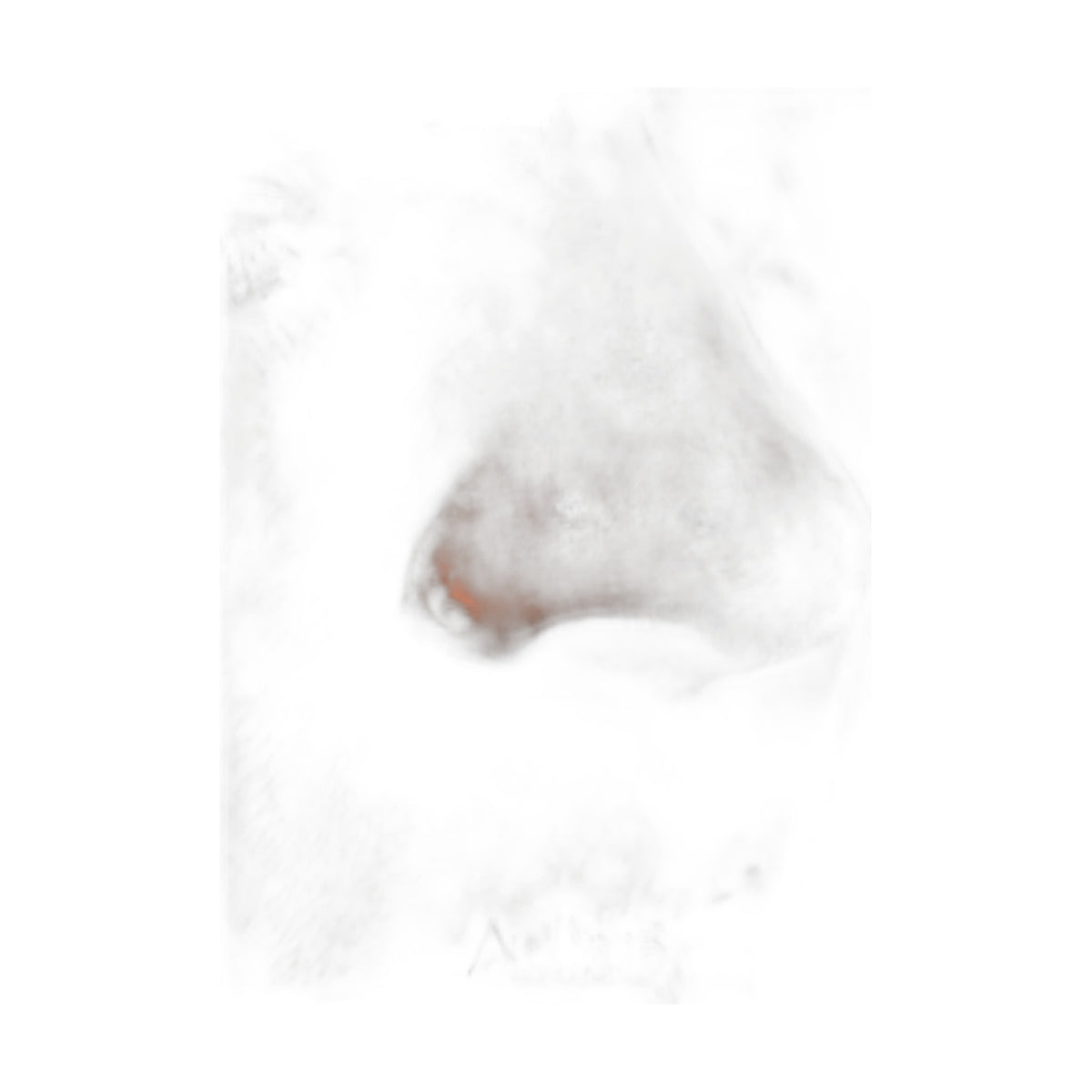 Single Prong by M.US.HROOM — alternate view 3