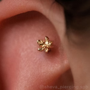 Gold Maple Leaf End — Anatometal