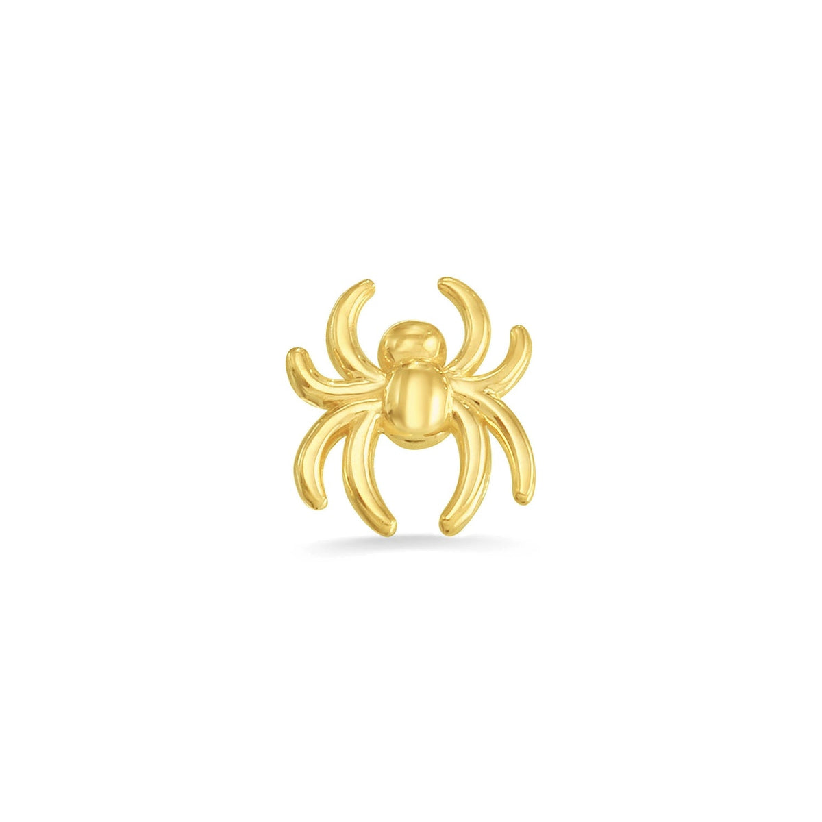 Spider — NorVoch