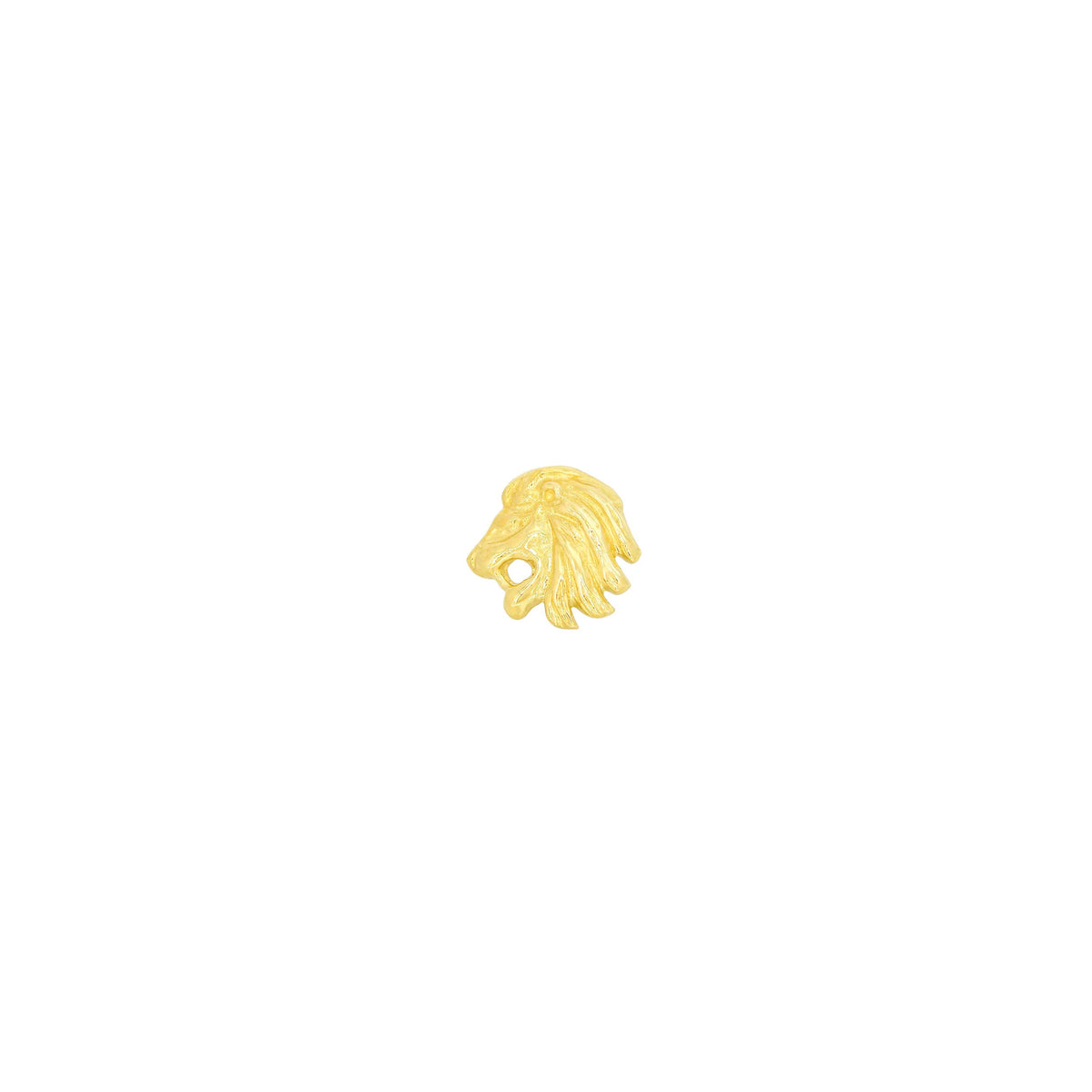 Lion by M.US.HROOM