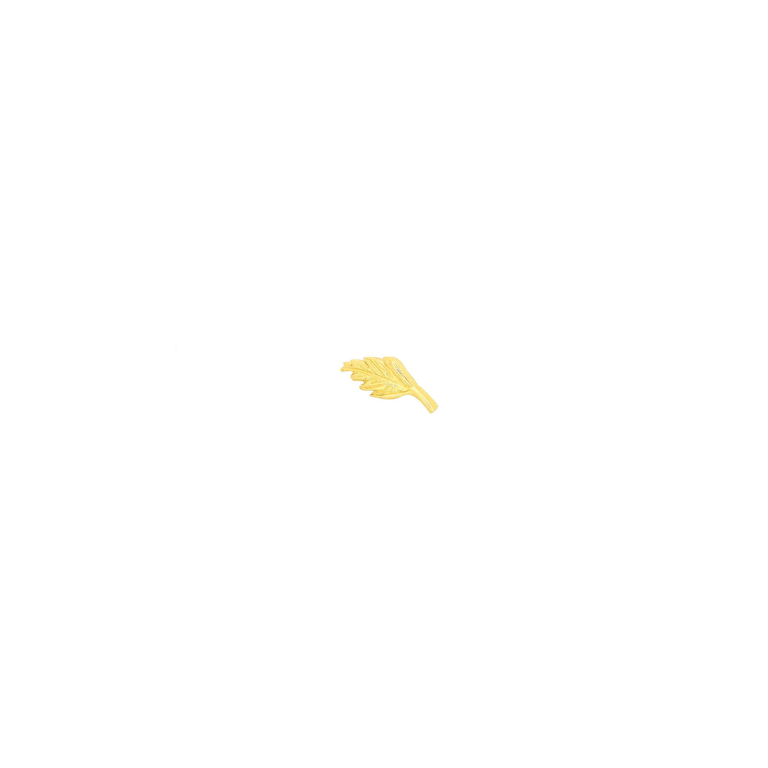 Elm Leaf by M.US.HROOM