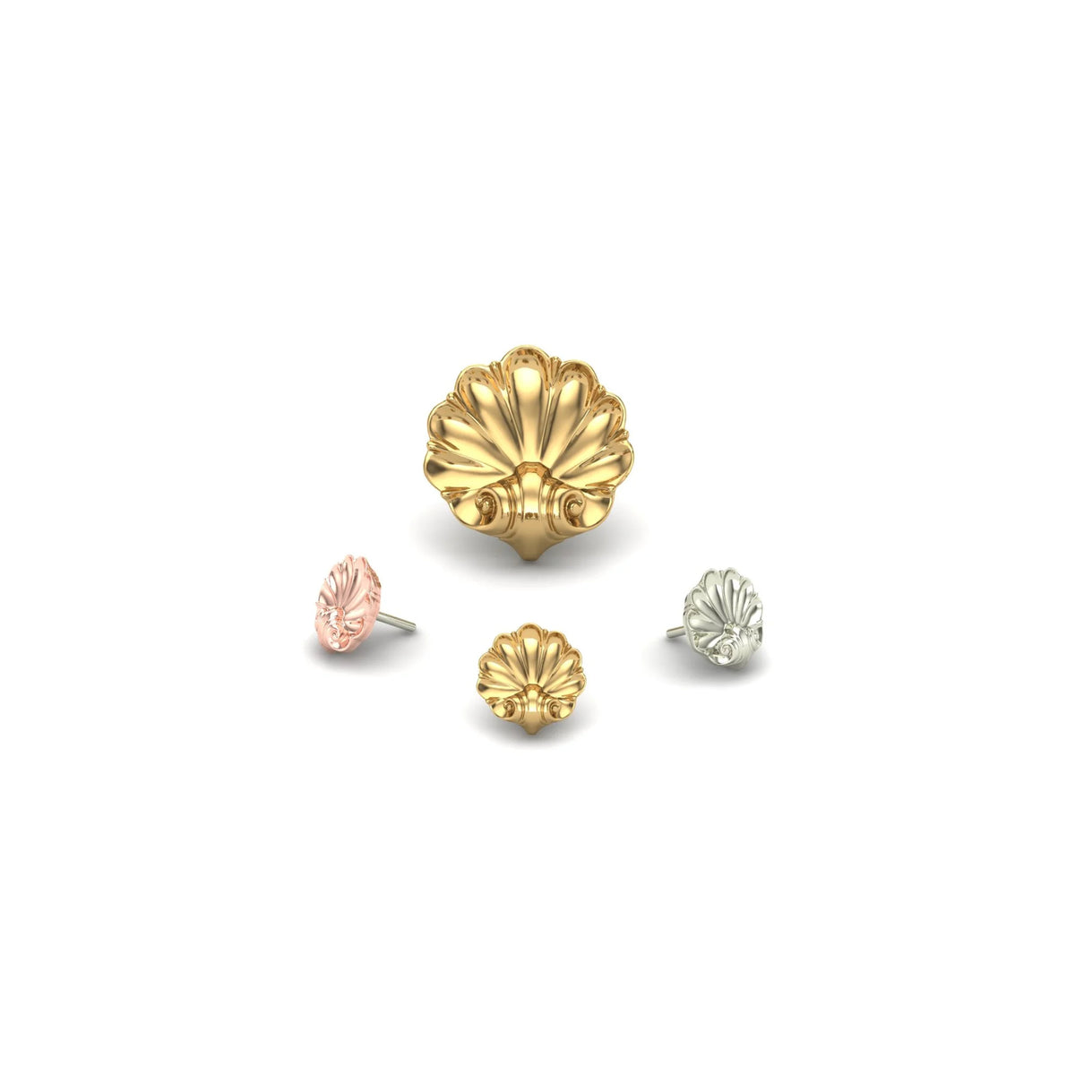 Shell by M.US.HROOM