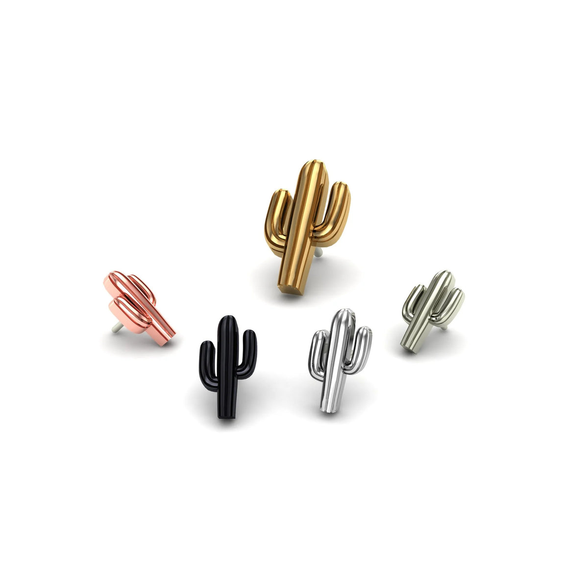 Cactus by M.US.HROOM