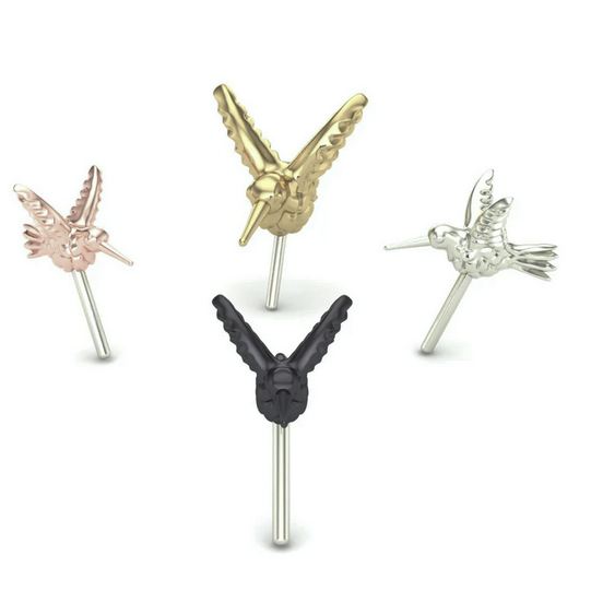 3D Hummingbird From Mushroom