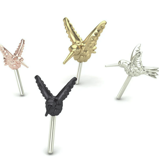 3D Hummingbird From Mushroom