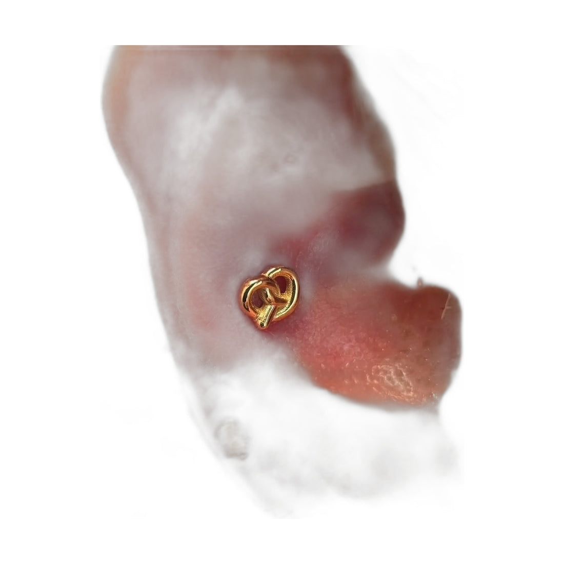 Pretzel by M.US.HROOM — alternate view 3