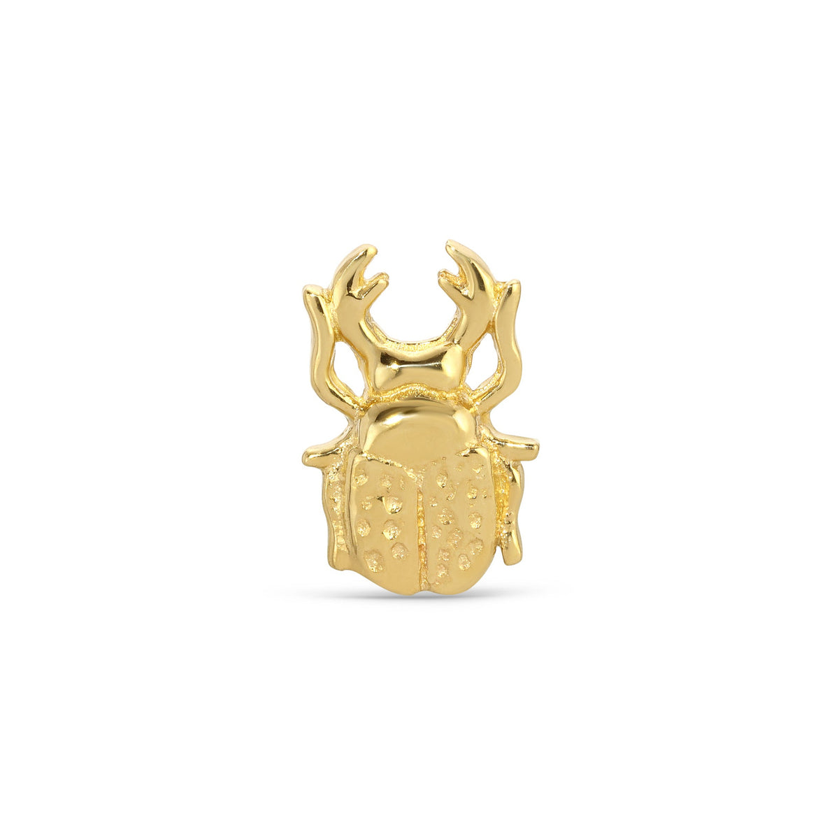 Scarab Beetle by M.US.HROOM — alternate view 2