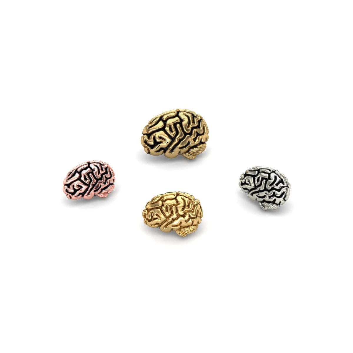 Brain by M.US.HROOM