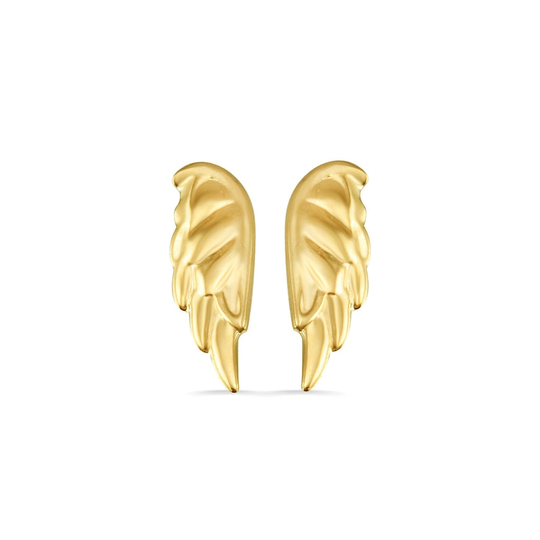Angel Wing — NorVoch