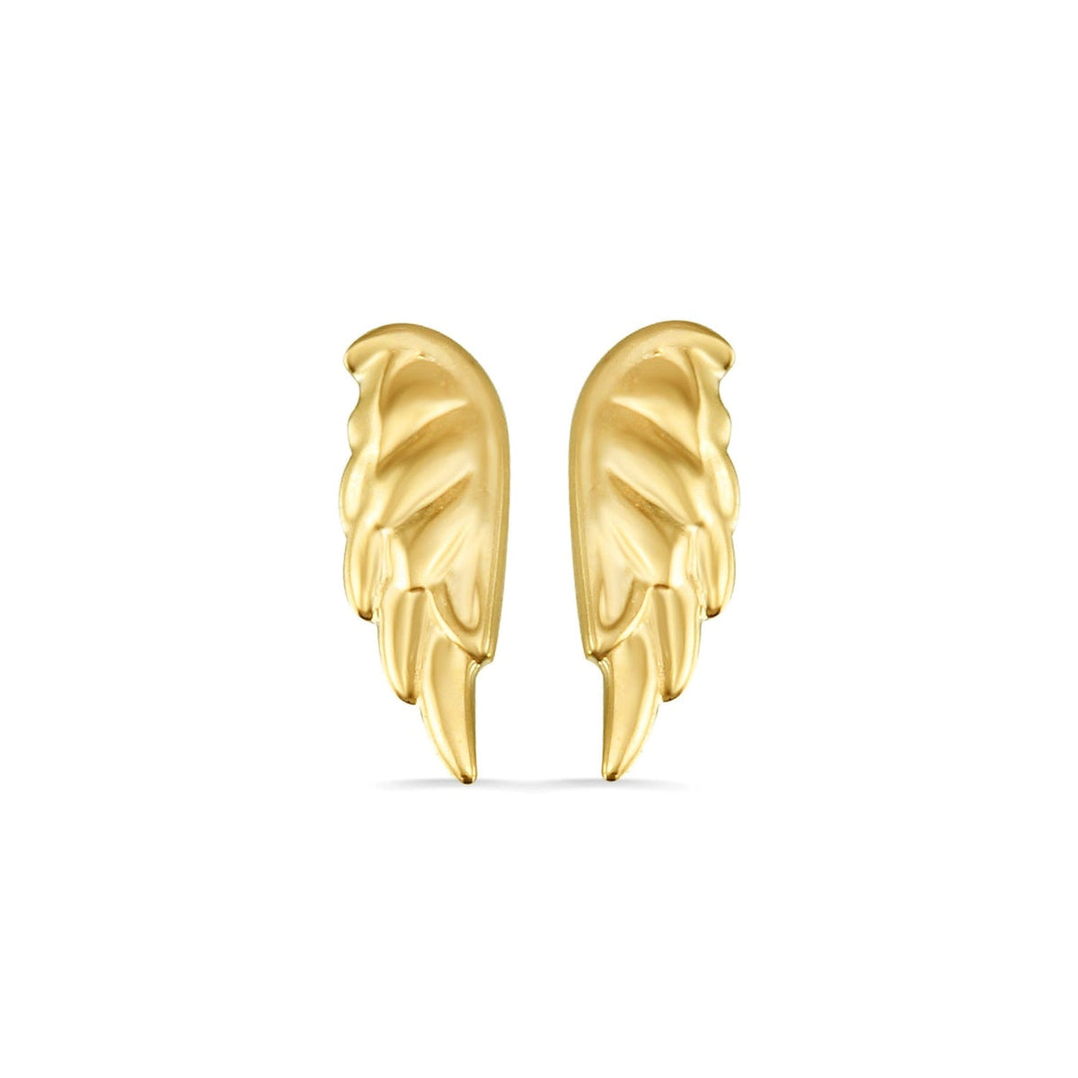 Angel Wing — NorVoch