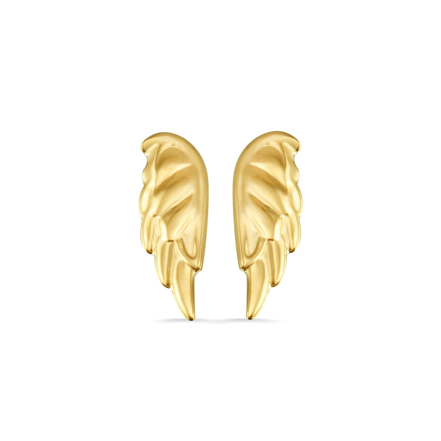Angel Wing — NorVoch