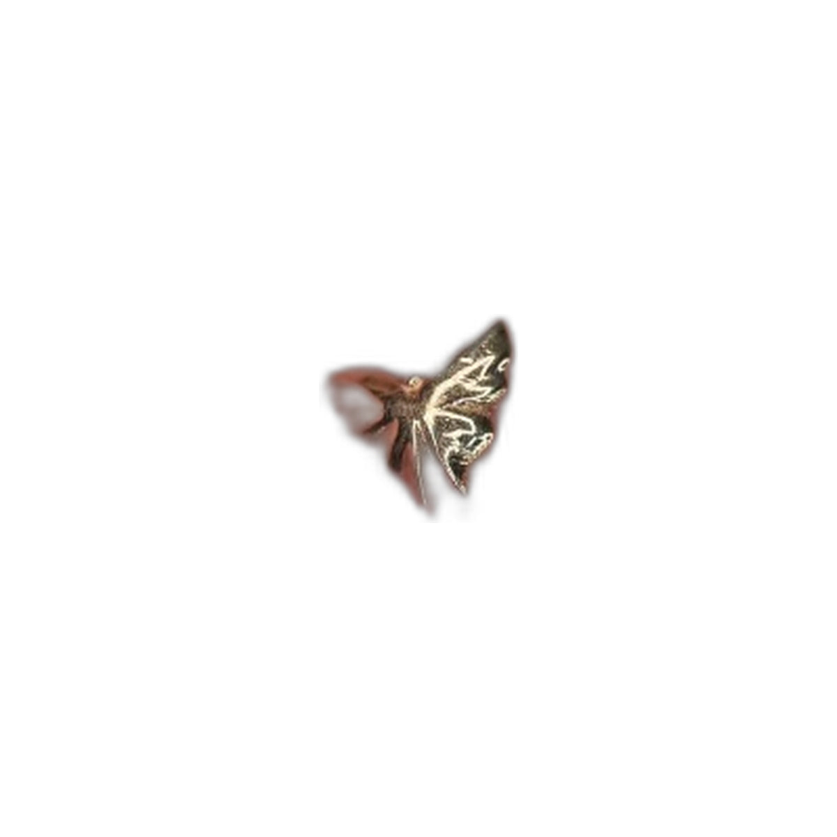Butterfly by M.US.HROOM — alternate view 2