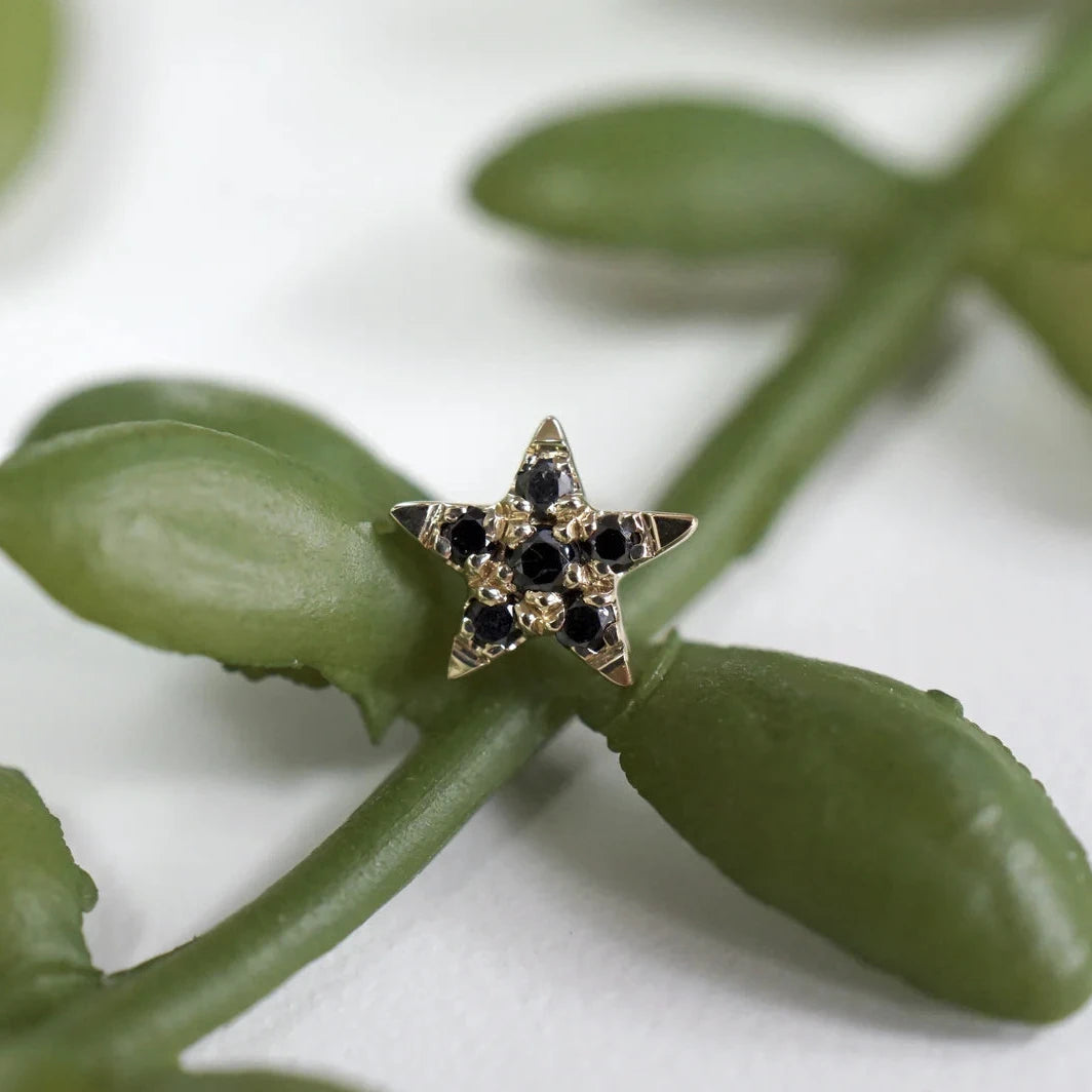 5 Point Star - Charlotte from Modern Mood