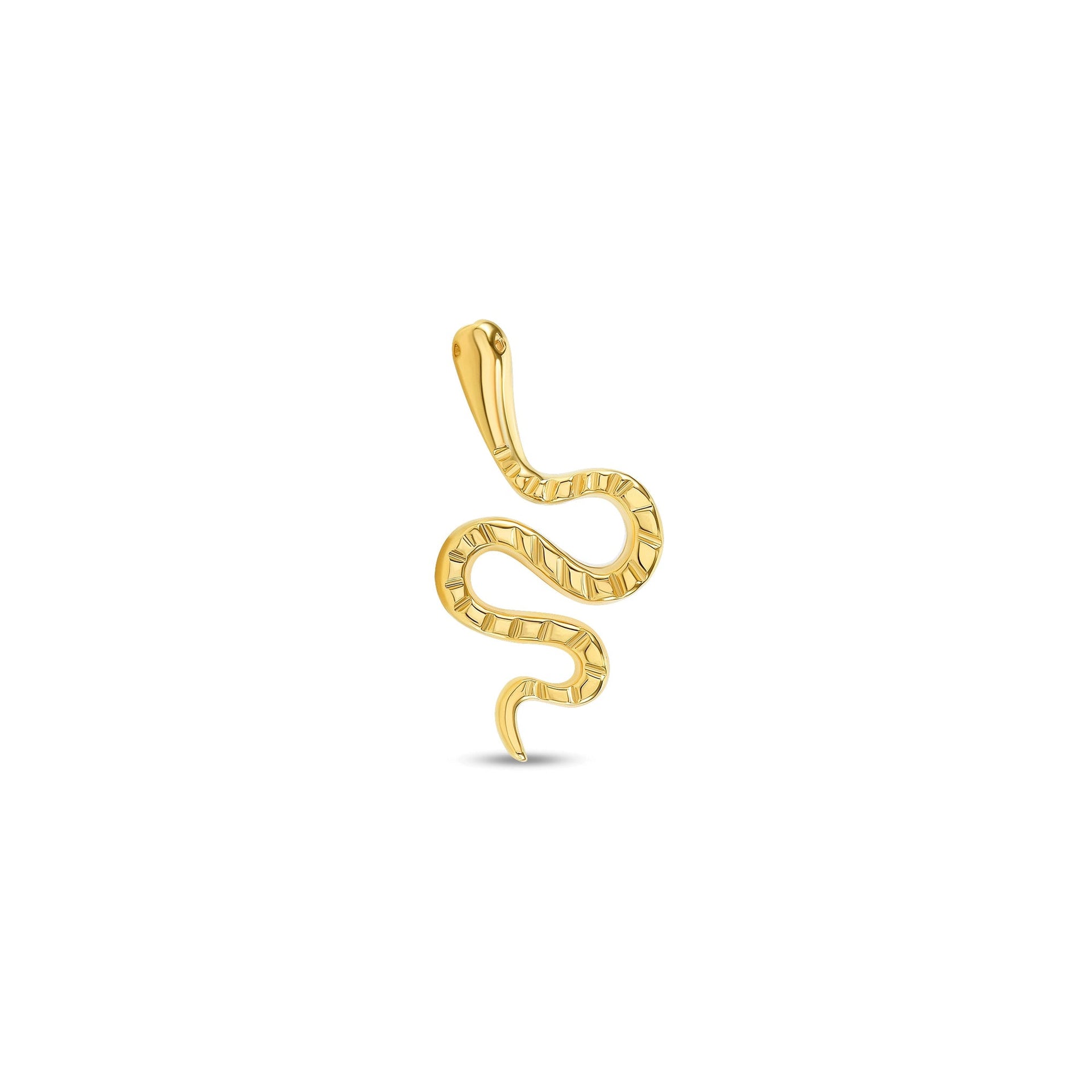 Snake — NorVoch