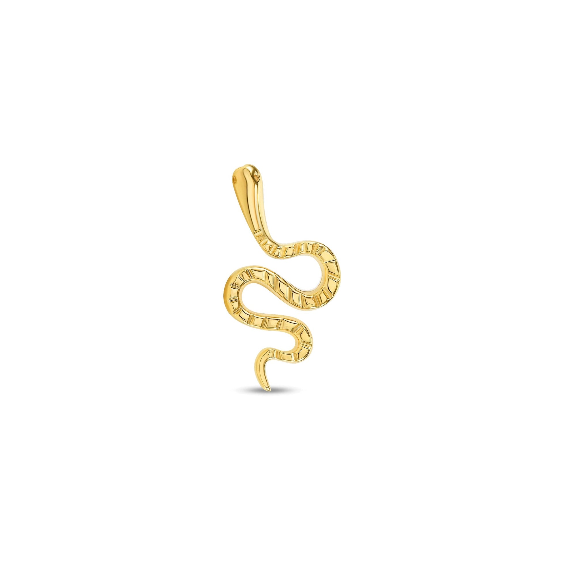 Snake — NorVoch