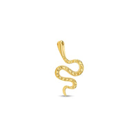 Snake — NorVoch