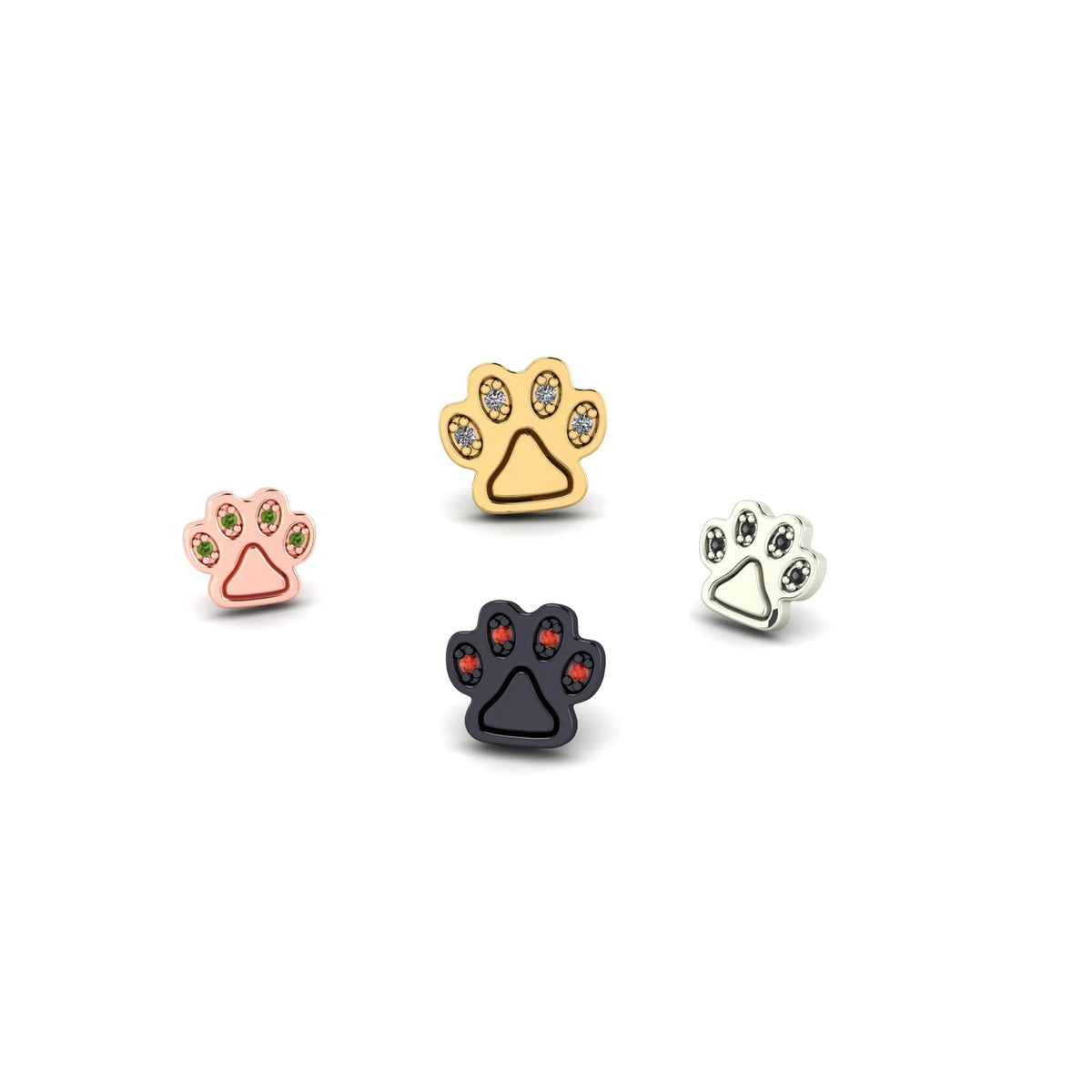 Paw by M.US.HROOM