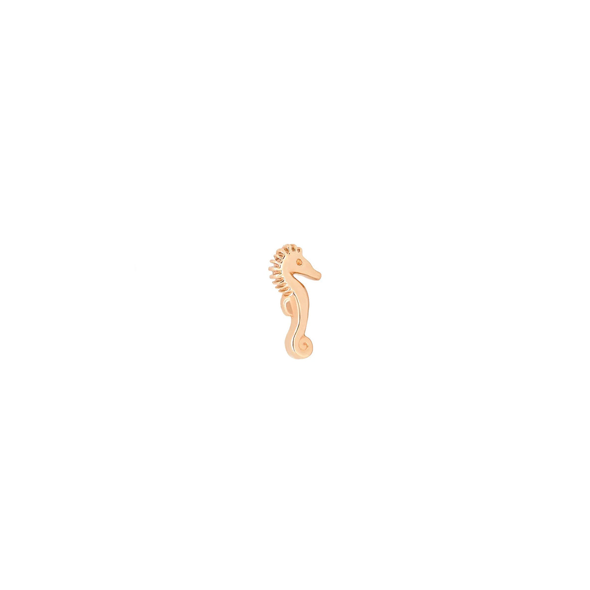 Seahorse by M.US.HROOM — alternate view 3