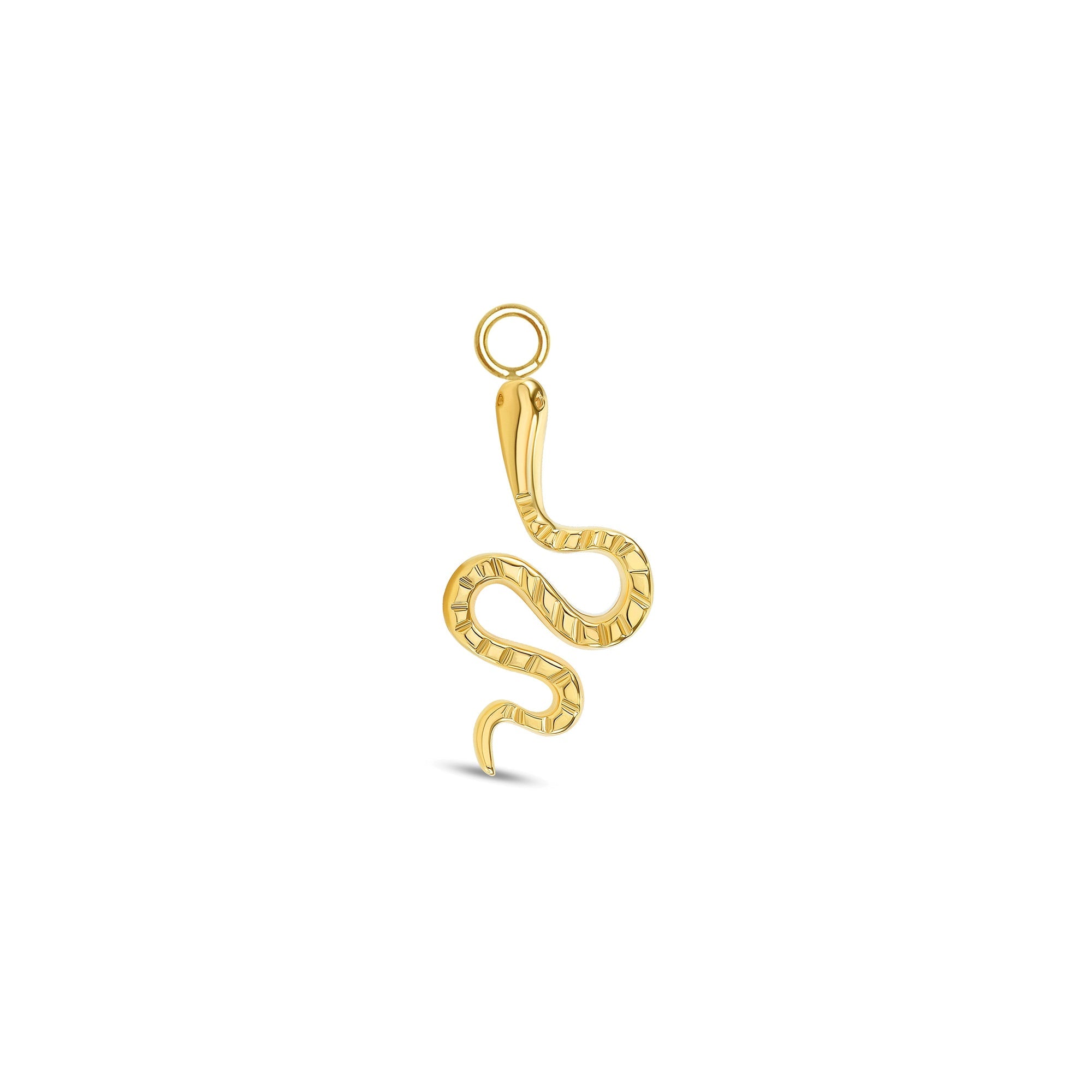 Snake Charm — NorVoch