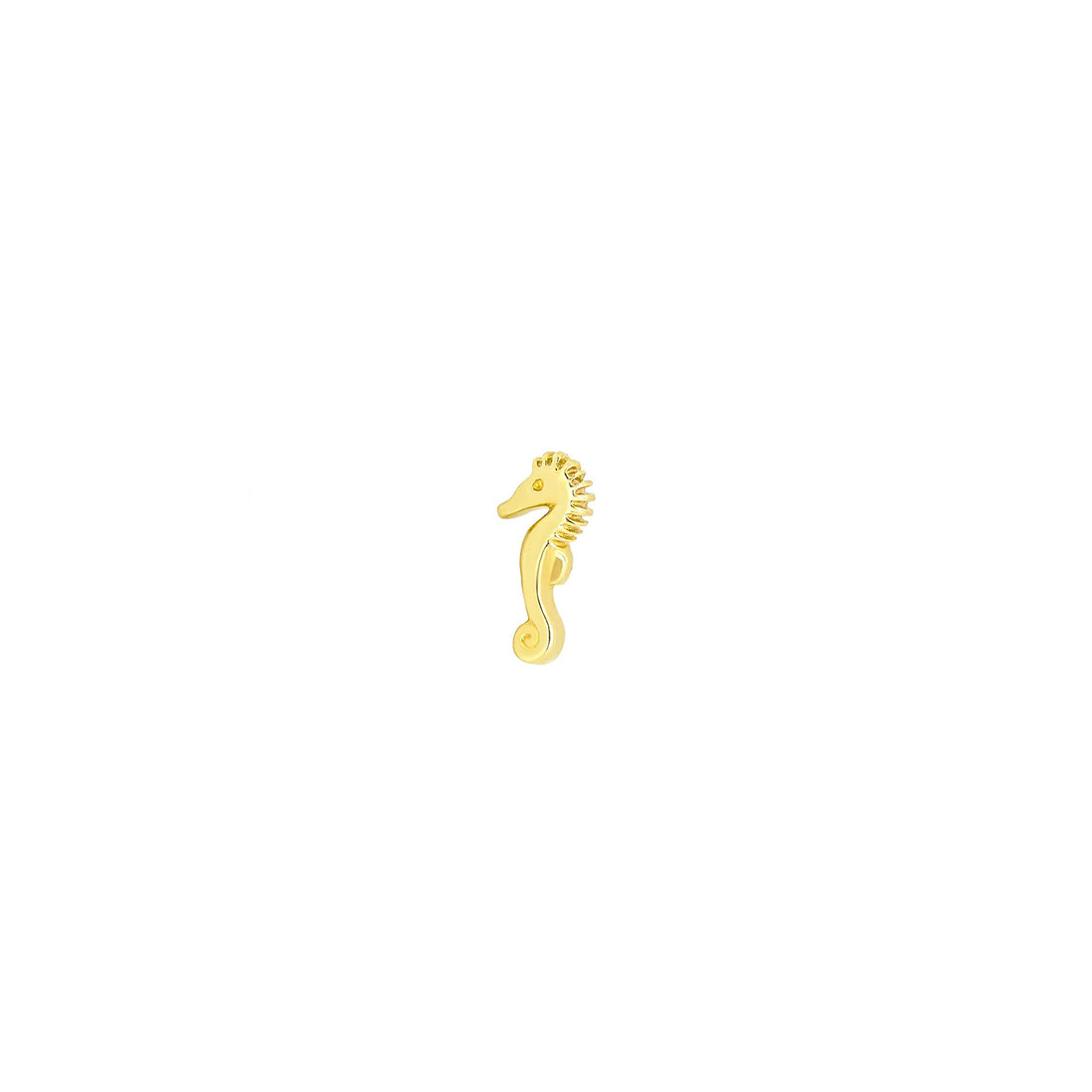 Seahorse by M.US.HROOM — alternate view 4