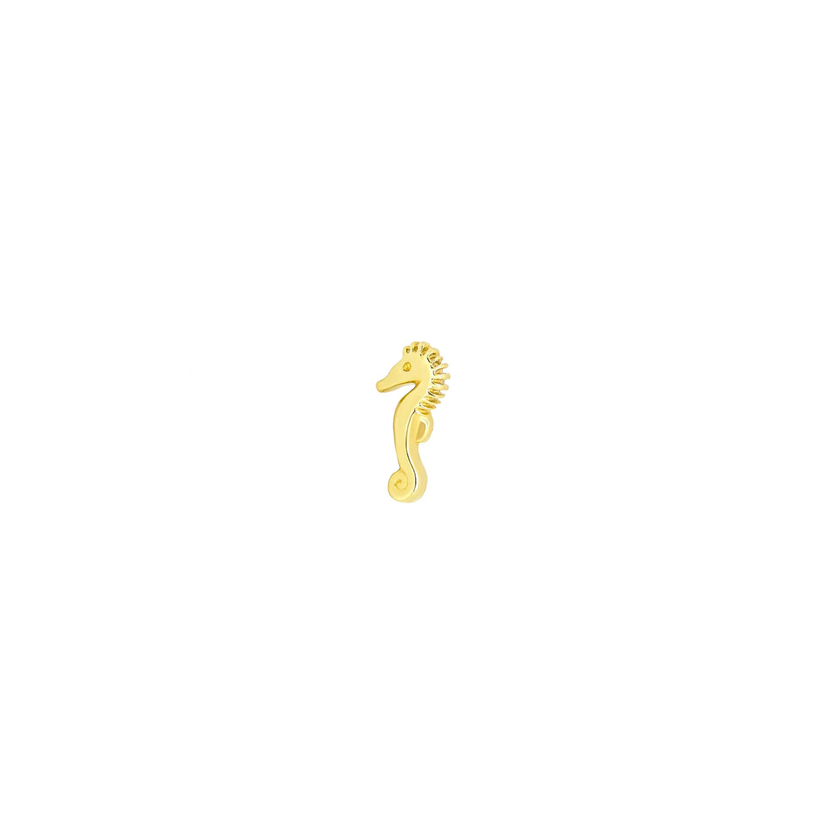 Seahorse by M.US.HROOM — alternate view 4
