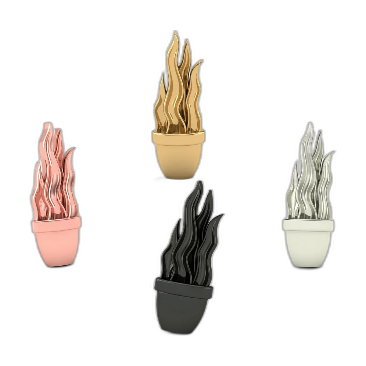 Snake Plant by M.US.HROOM