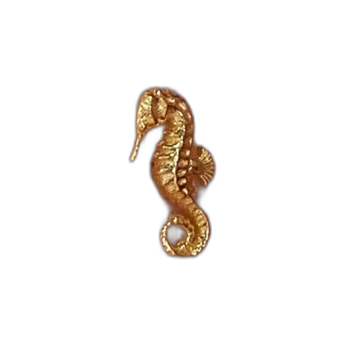 Spined Seahorse by M.US.HROOM — alternate view 2