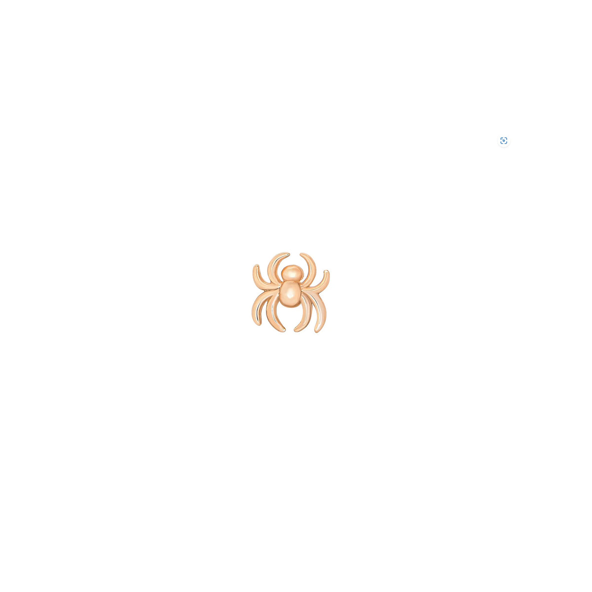 Spider by M.US.HROOM — alternate view 5